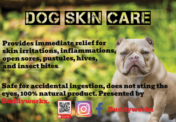 liquid silver solution dog skin care